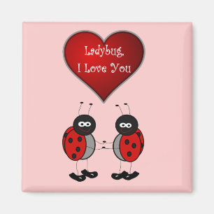Marienkäfer-Liebe-Magnet Magnet