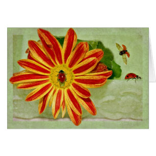 Marienkäfer-Marienkäfer-Marienkäfer!