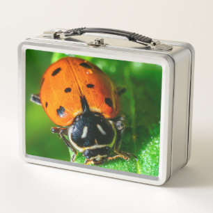 Marienkäfer-Metall-Lunchbox Makro-Natur-Design Metall Brotdose