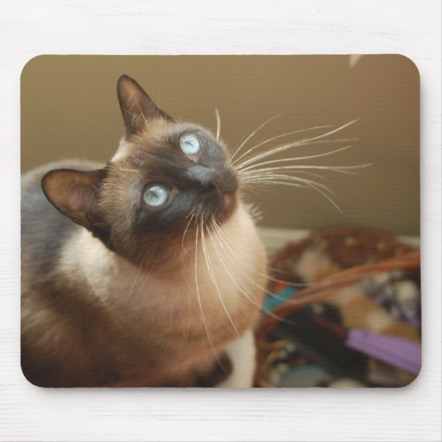 Marienkäfer Mousepad (Vorne)