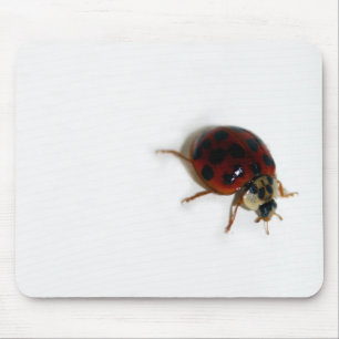 Marienkäfer Mousepad