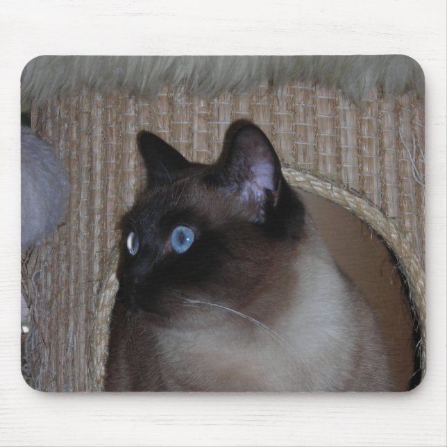 Marienkäfer Mousepad (Vorne)