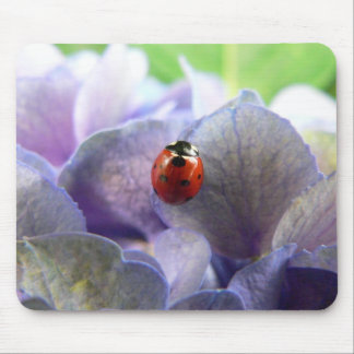 Marienkäfer Mousepad
