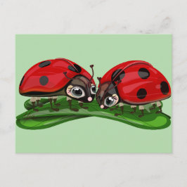 Marienkäfer postkarte