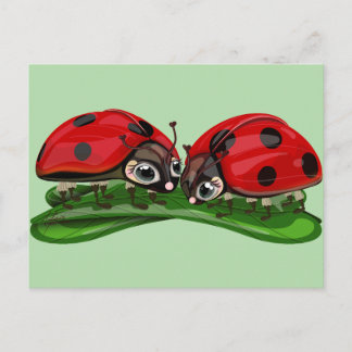 Marienkäfer postkarte