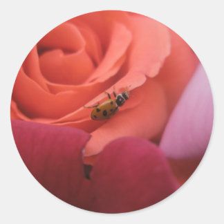 Marienkäfer Rosen Runder Aufkleber