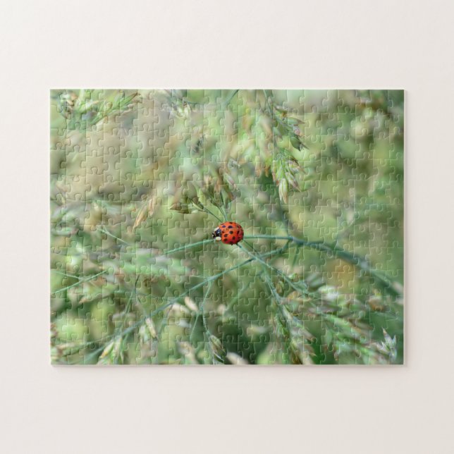 Marienkäfer unterging.. puzzle (Horizontal)
