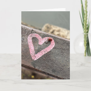 Marienkäferherz Karte