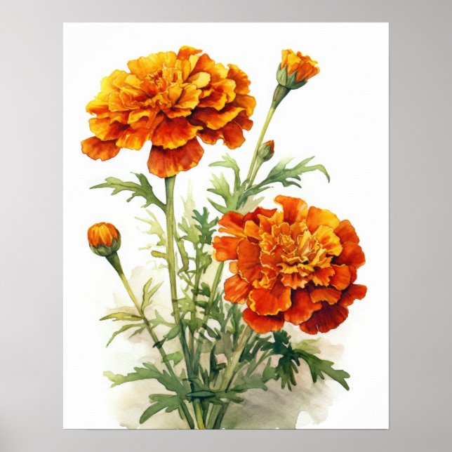 Marigold Blume Art Print Poster (Vorne)