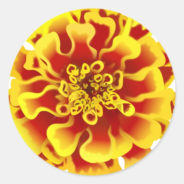 Marigold Blume Runder Aufkleber (Vorderseite)