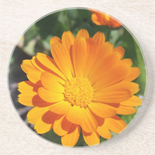 marigold flower getränkeuntersetzer