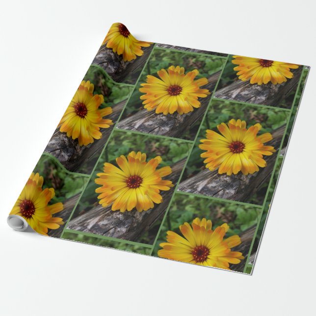Marigold Geschenkpapier (Ungerollt)