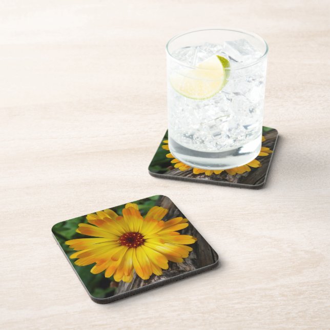 Marigold Getränkeuntersetzer (Rechte Seite)