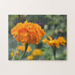 Marigold Orange Blume Naturfotografie Garten Puzzle