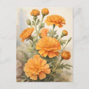 Marigold Postkarte