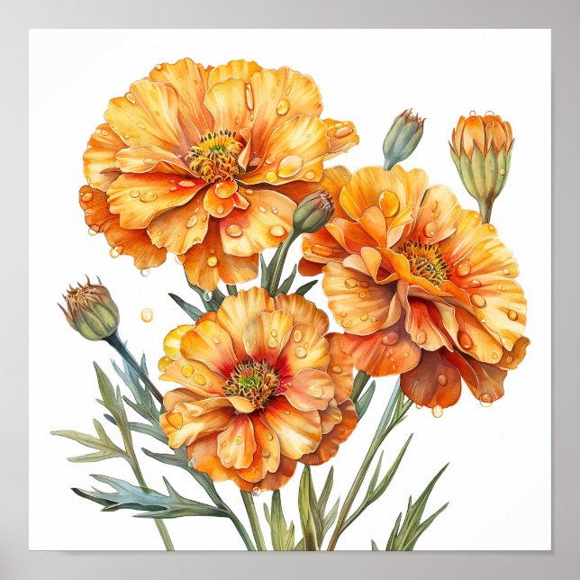 Marigold Print, orange Blume Kunst, Kunst Poster (Vorne)