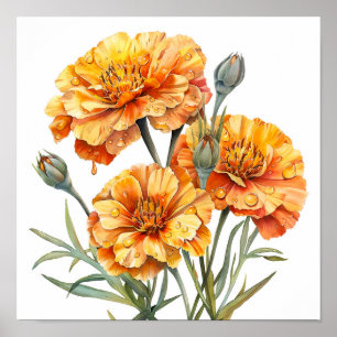 Marigold Print, orange Blume Kunst, Kunst Poster