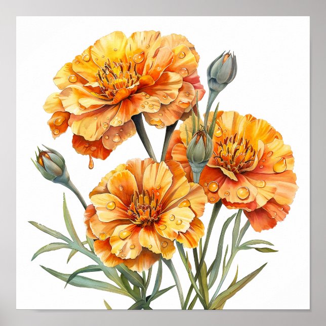 Marigold Print, orange Blume Kunst, Kunst Poster (Vorne)