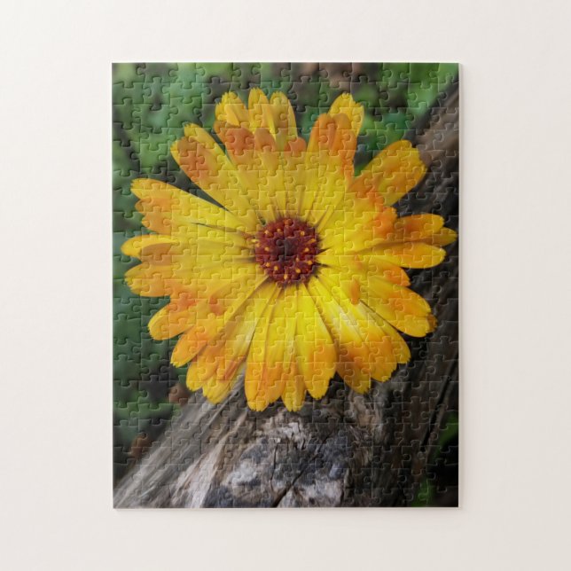 Marigold Puzzle (Vertikal)