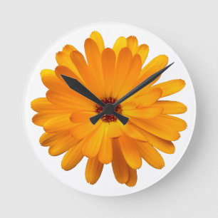 Marigold Runde Wanduhr