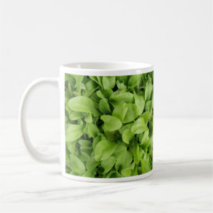 Marigold Seedlings Coffee Tasse