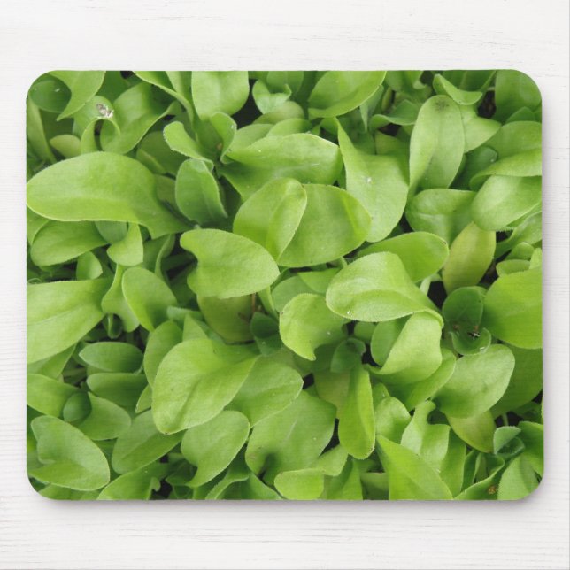 Marigold Seedlings Mousepad (Vorne)