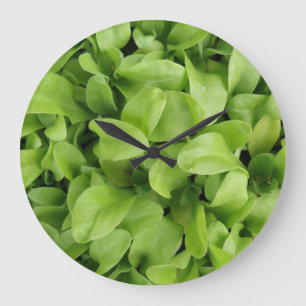 Marigold Seedlings Wall Clock Große Wanduhr