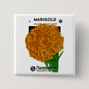 Marigold Vintag Seed Packet Button