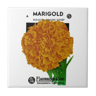 Marigold-Vintage-Samenpaket Fliese