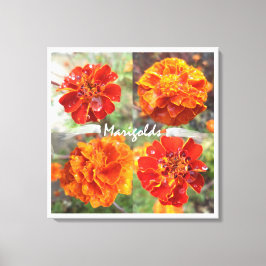 Marigolds Leinwanddruck
