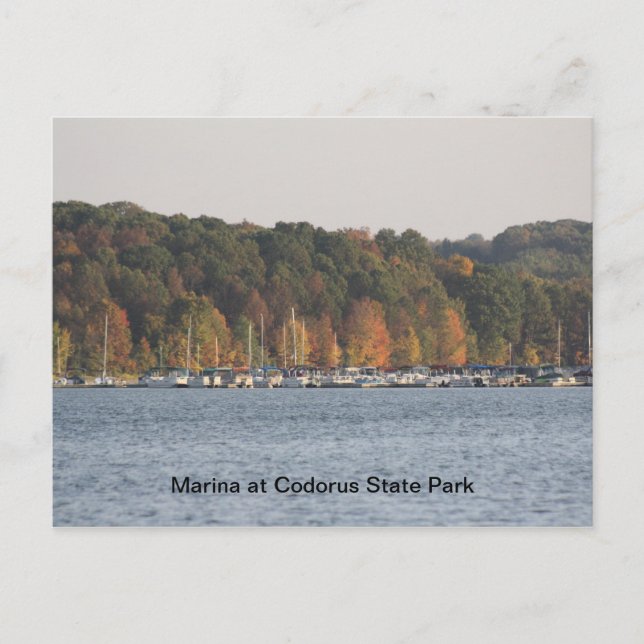 Marina at Codorus Staat Park Postkarte (Vorderseite)