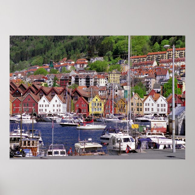 Marina Poster (Vorne)