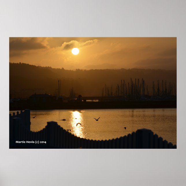 Marina Sunrise IV Poster (Vorne)