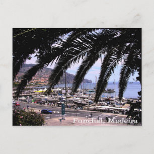 Marina View @ Funchal Postcard Postkarte