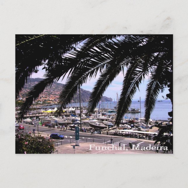 Marina View @ Funchal Postcard Postkarte (Vorderseite)