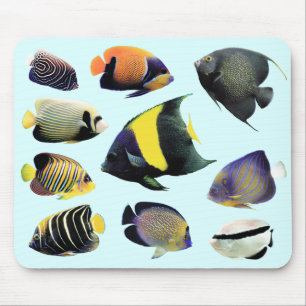 Marine Angelfishの ス ウ1ドNr.0 Mousepad