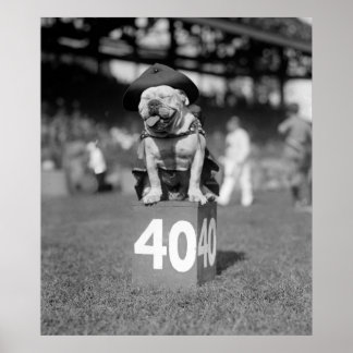 Marine Corps Mascot Jiggs: 1923 Poster