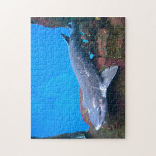 Marine Haie. Puzzle