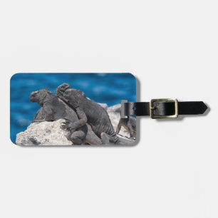 Marine Iguana Gepäckanhänger