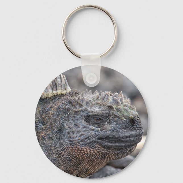 Marine Iguana Schlüsselanhänger (Vorderseite)