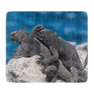 Marine Iguana Schneidebrett