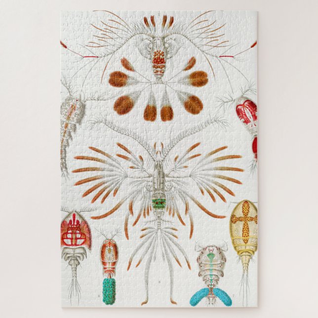 Marine Life Crustaceans, Copepoda von Ernst Haecke Puzzle (Vertikal)