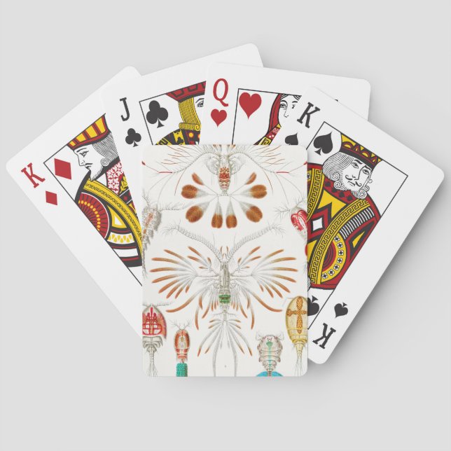 Marine Life Crustaceans, Copepoda von Ernst Haecke Spielkarten (Rückseite)