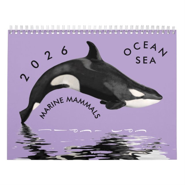 Marine mammals calendar kalender (Titelbild)