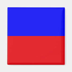 Marine Signalflagge: Buchstabe "E" (Echo) Magnet