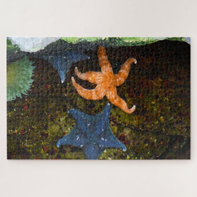Marine Star Fisch. Puzzle (Horizontal)