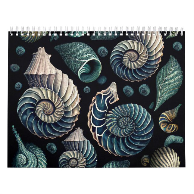 Marine Treasures Kalender (Titelbild)