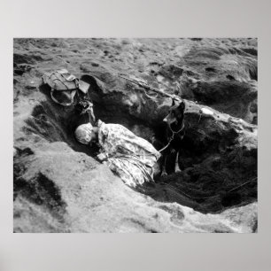 Marine und sein Hund Poster