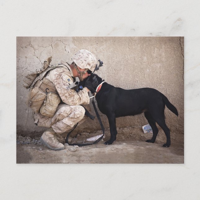 Marine und sein Hund Postkarte (Vorderseite)