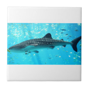 Marine Water Chic Stilvoll Cooler Blauwal-Hai Fliese